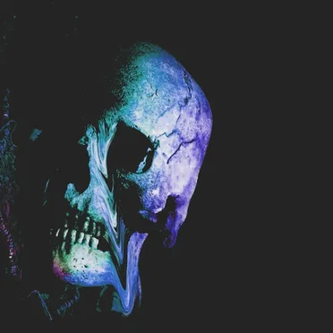 Lost Mankind