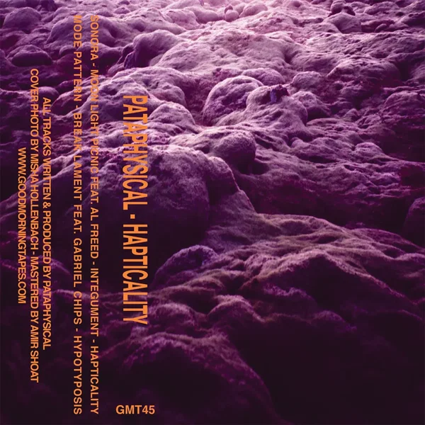 Hapticality