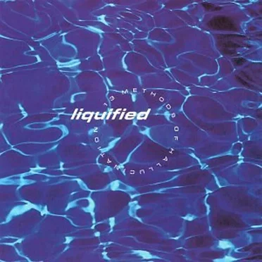 13 Methods of Hallucination by Liquified - album cover
