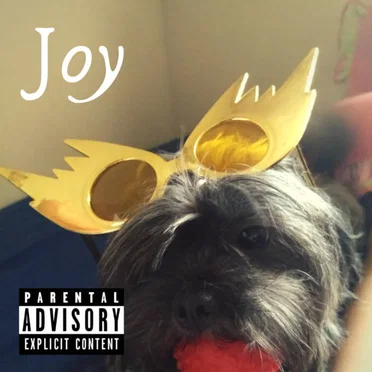 Joy