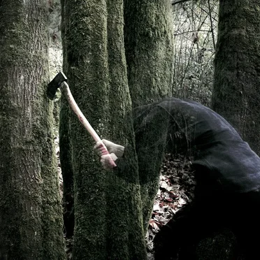 Bushcraft by Baptists - album cover