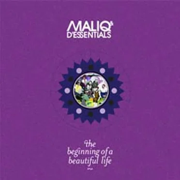 The Beginning of a Beautiful Life