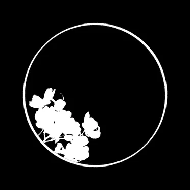 Sync Zephyr