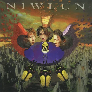 NIWLUN