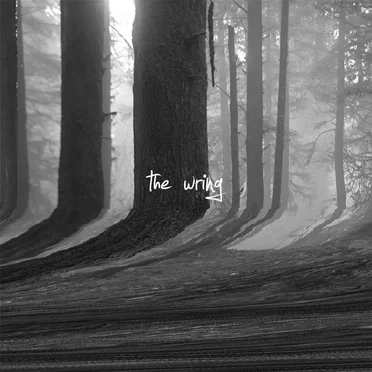 The Wring by The Wring - album cover