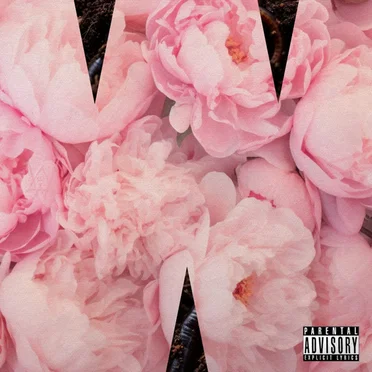 WIPLASH