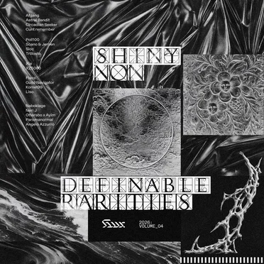 shiny.non.definable.rarities.04 by Various Artists - album cover