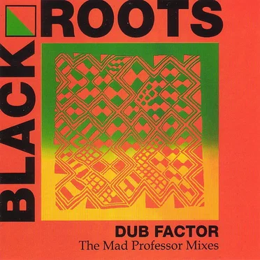 Dub Factor: The Mad Professor Mixes