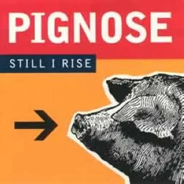 Still I Rise by Pignose - album cover