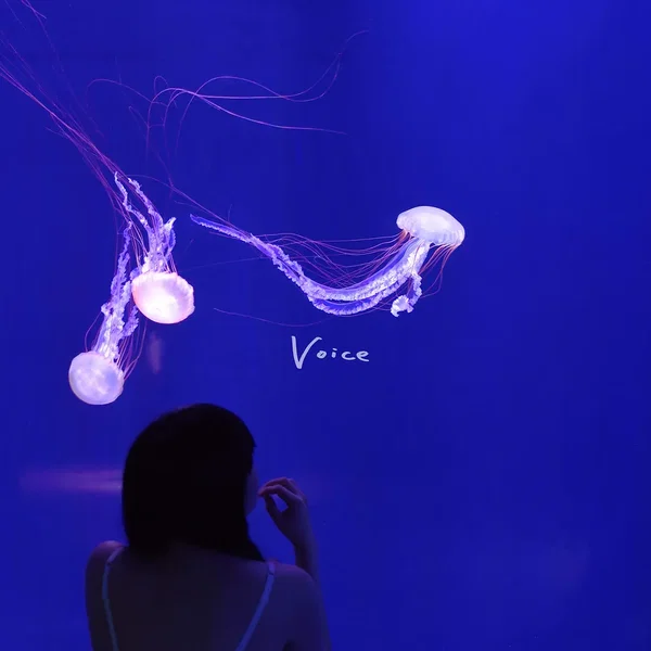 Voice