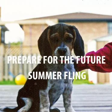 Summer Fling