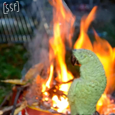 Setting Something Important on Fire by Student Slasher Film - album cover
