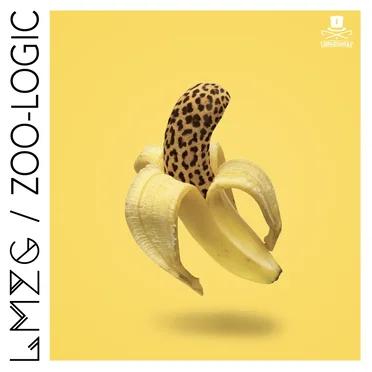 ZOO‐LOGIC
