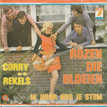 Rozen die bloeien
