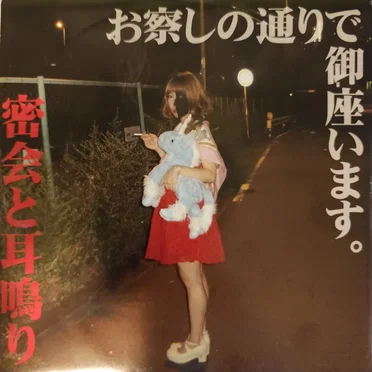 お察しの通りで御座います。