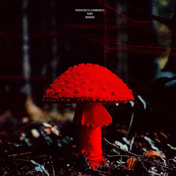 Rain (Remixes)