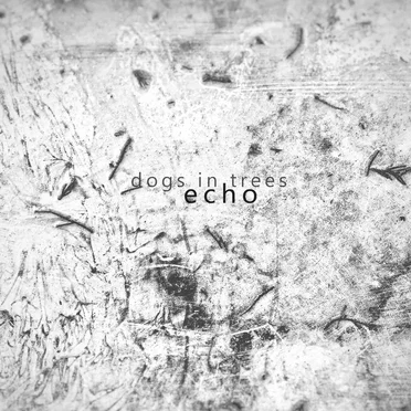 echo