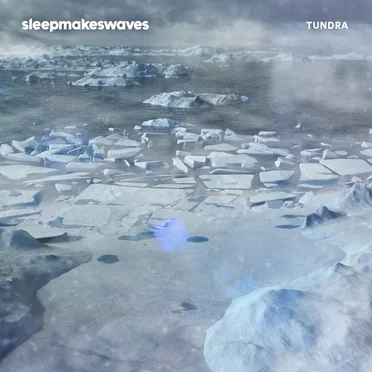 Tundra by sleepmakeswaves - album cover