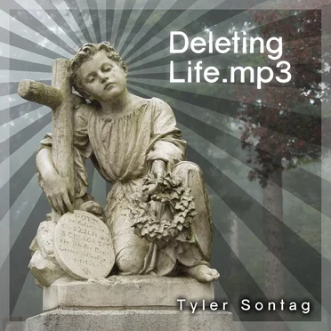 Fasten Your Combination Pizza Hut And Taco Bell by Tyler Sontag - album cover