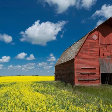 The Saskatchewan Crisis