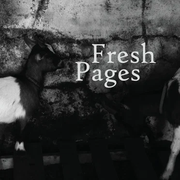 Fresh Pages by Boy Soprano - album cover