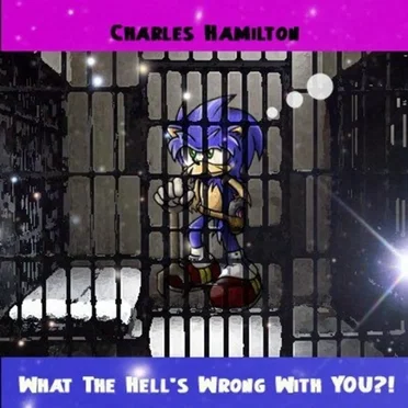What The Hell's Wrong With You? by Charles Hamilton - album cover
