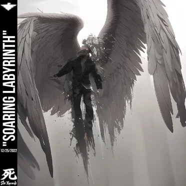 Soaring Labyrinth