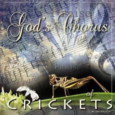 God's Chorus of Crickets by Jim Wilson - album cover