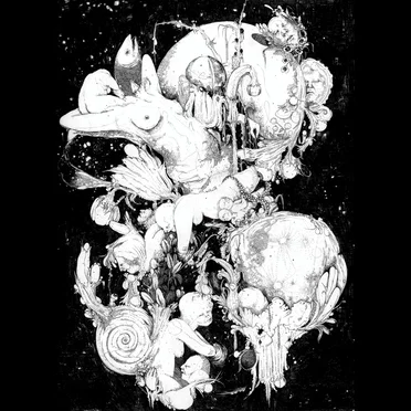 Wet Petals