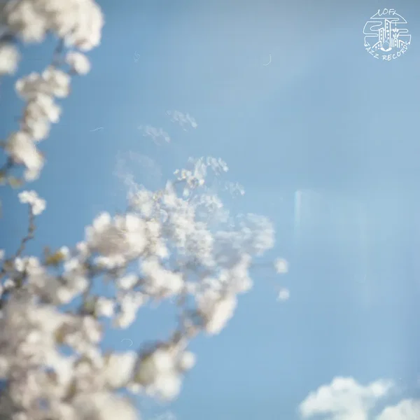 I Would Like to Know