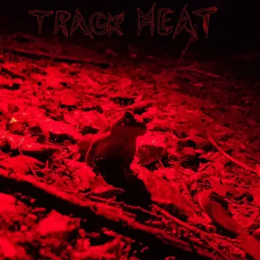 Dig Me a Hole by Track Meat - album cover
