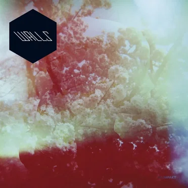 Walls by Walls - album cover