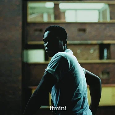 Iimini