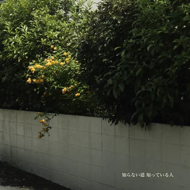 知らない道 知っている人