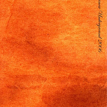 Real Japanese Underground 2006 by Various Artists - album cover