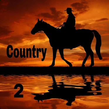 Country 2