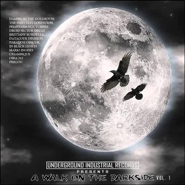 A Walk on the Darkside Vol.1 by Various Artists - album cover