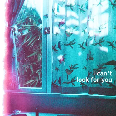 I Can't Look For You by Bad Neighbour - album cover