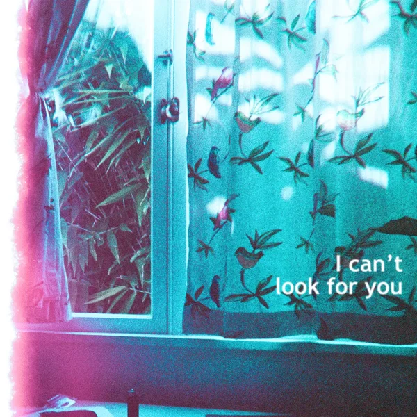 I Can't Look For You
