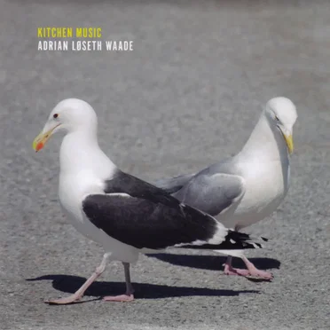 Kitchen Music by Andrian Løseth Waade - album cover