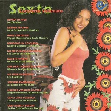 Sexto concierto vallenato by Various Artists - album cover