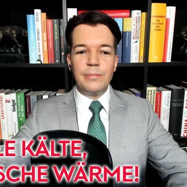 Wohlstand für Alle #245, „Wie die AfD Europa "neu" denkt: Abschottung und Goldmark“ by Ole Nymoen - album cover
