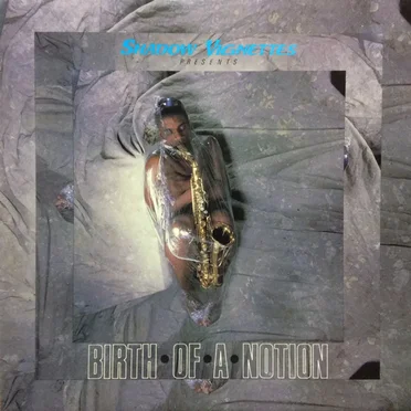 Birth of a Notion by Shadow Vignettes - album cover