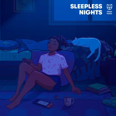 Sleepless Nights by Various Artists - album cover