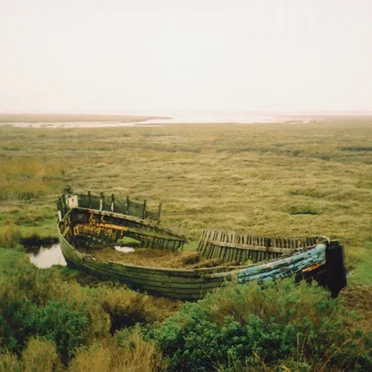Of the Sea and Shore