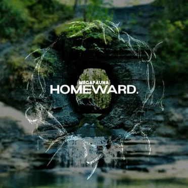 homeward. by MEGAFAUNA - album cover