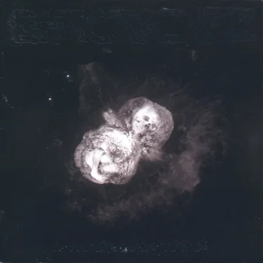 Etacarinae