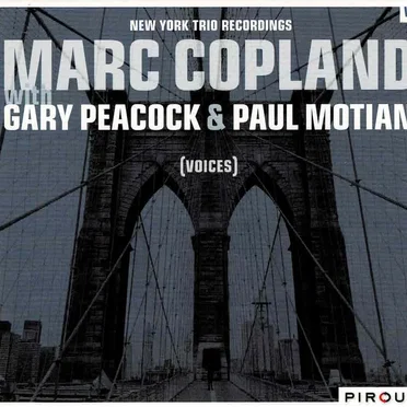 New York Trio Recordings, Volume 2: Voices