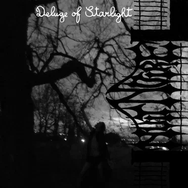 Deluge of Starlight by Nuit Noire - album cover