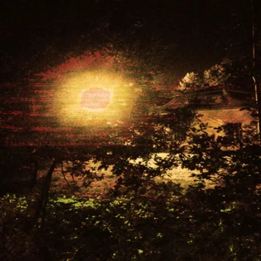 The Slowdown by ダンケ Vibes - album cover